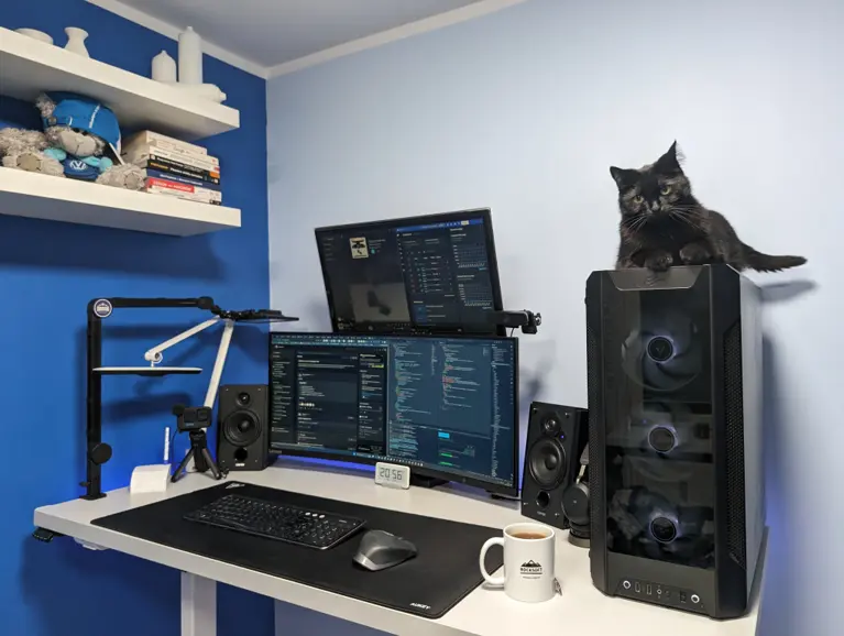 Custom web development workspace