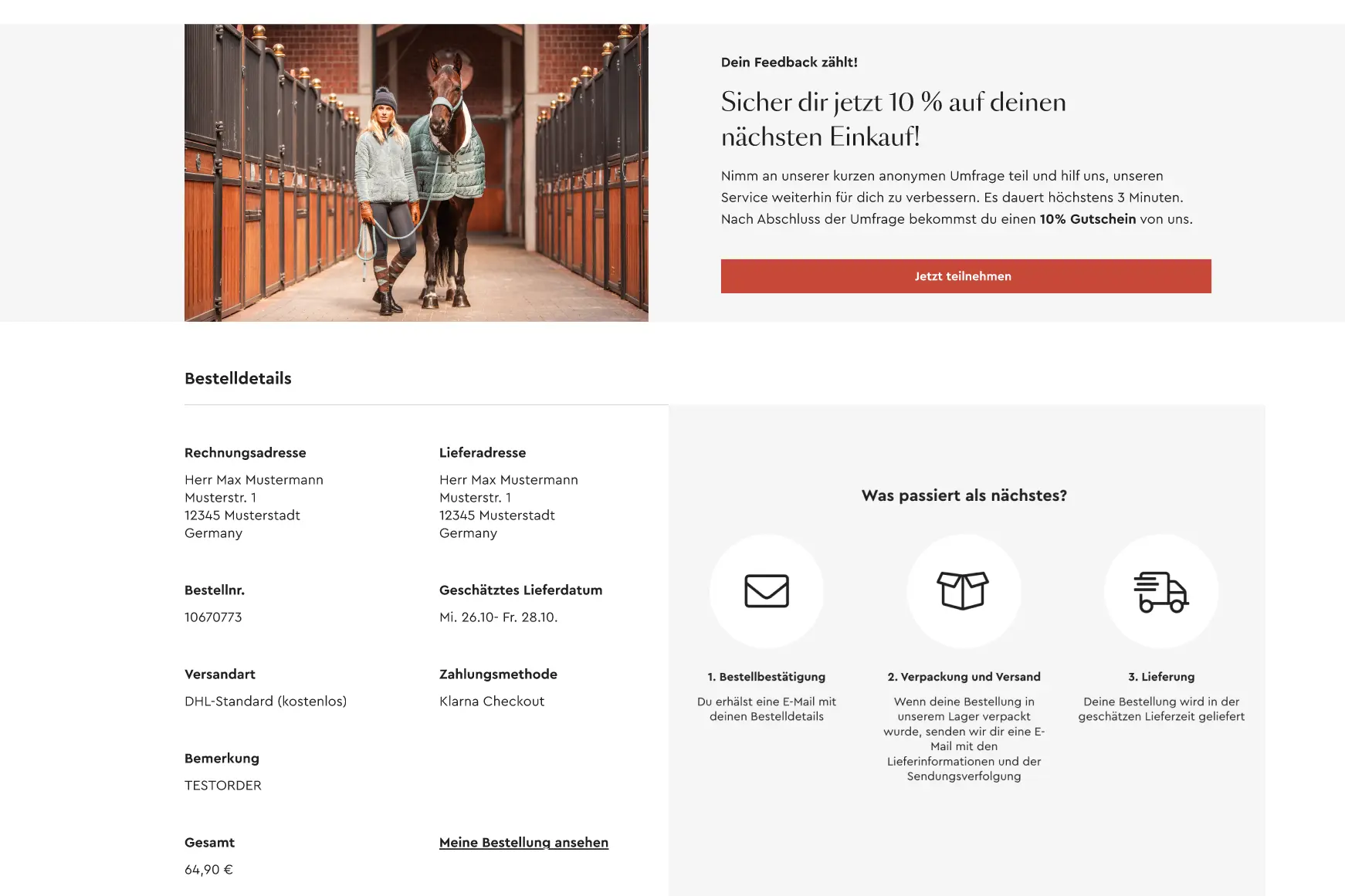 Frontend development for Horze.de e-commerce platform powered by Salesforce Commerce Cloud.