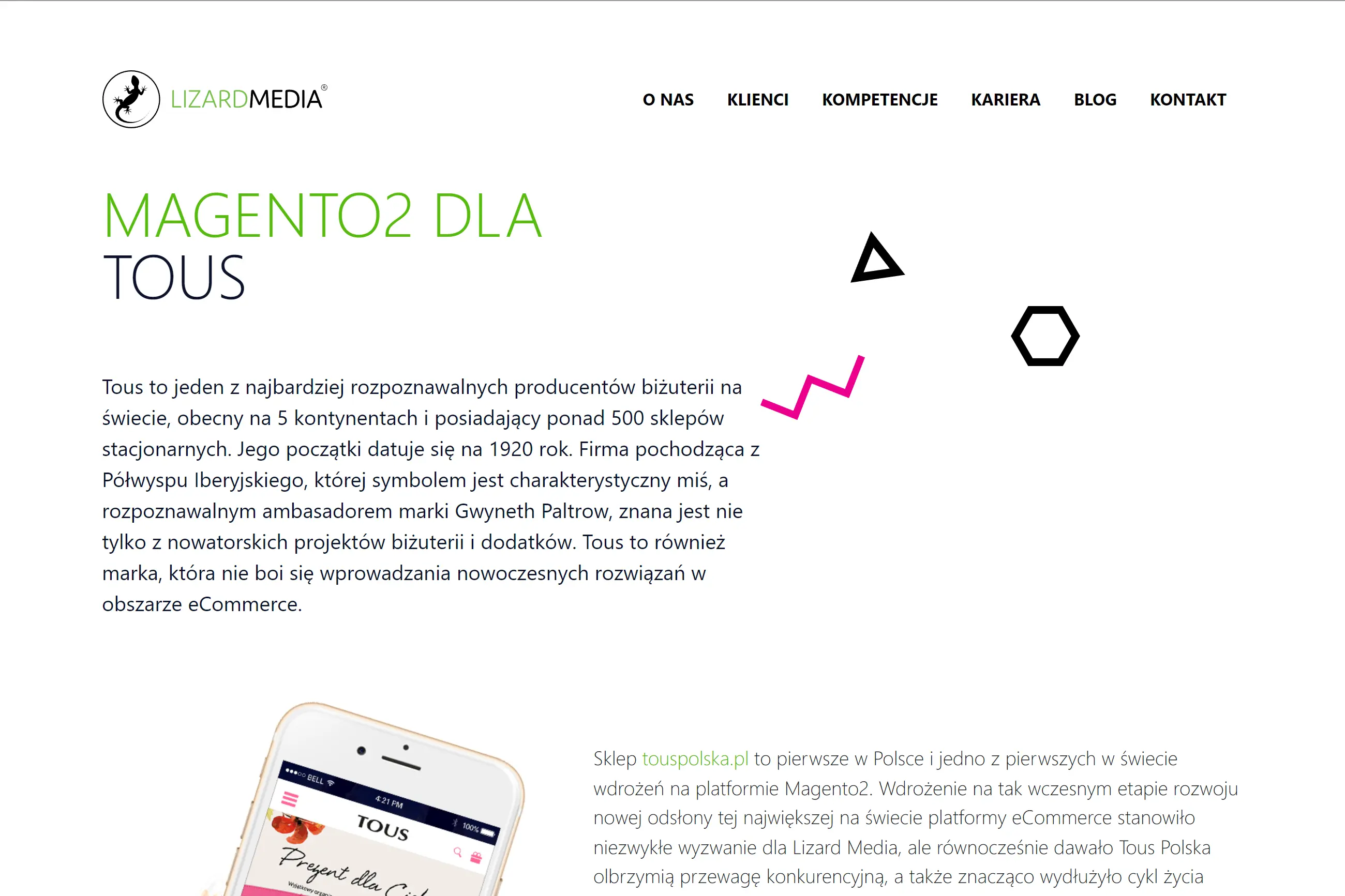 LizardMedia UX & Software House website - custom WordPress development and design implementation.