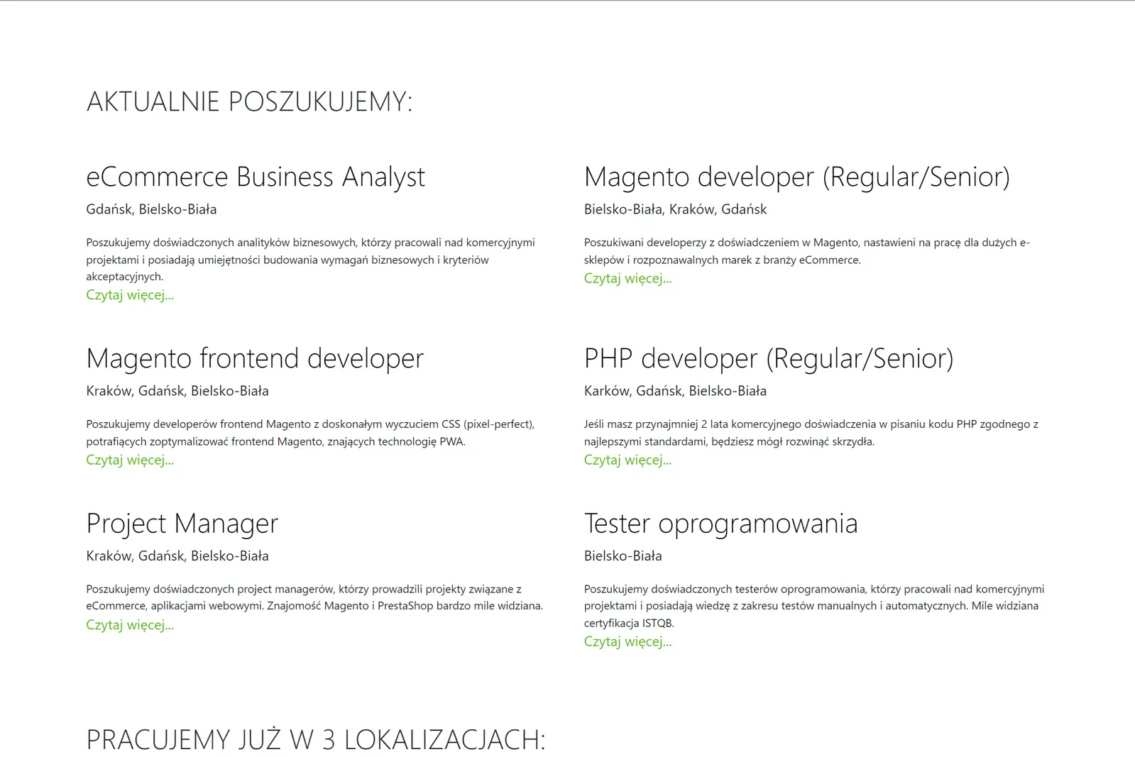 LizardMedia.pl - services section
