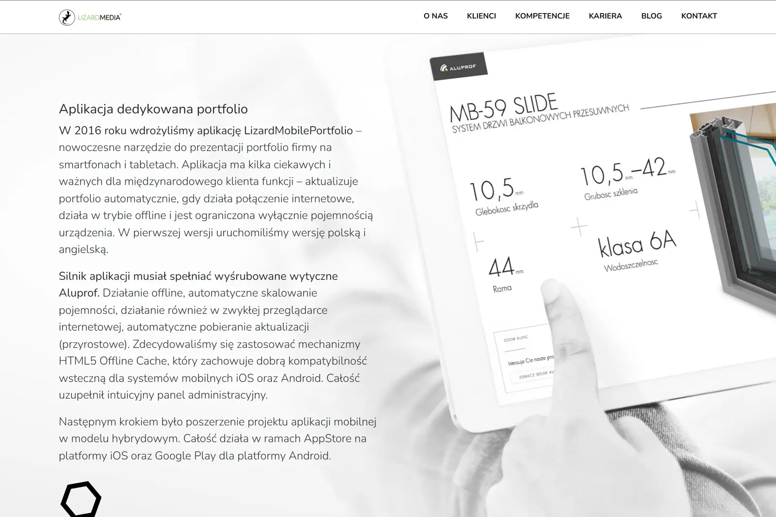 LizardMedia.pl - team