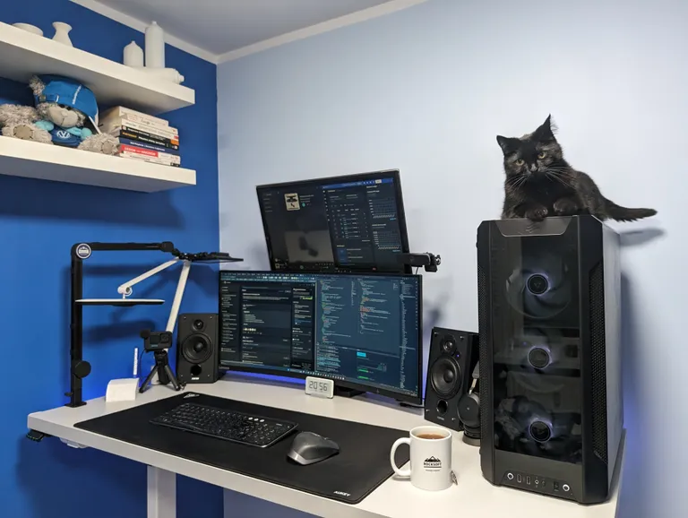 Custom web development workspace